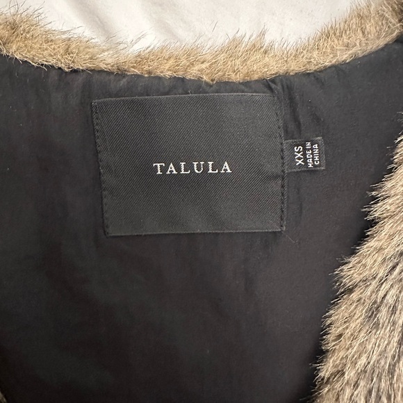 Aritzia Faux Fur Vest - Picture 4 of 4